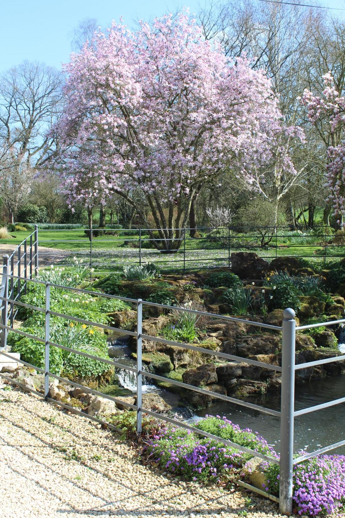 Hostal Hewletts Mill Castle Cary Exterior foto